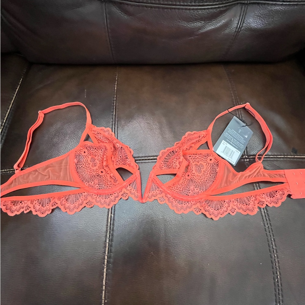 NWT THISTLE AND SPIRE Kane Bra in Chili